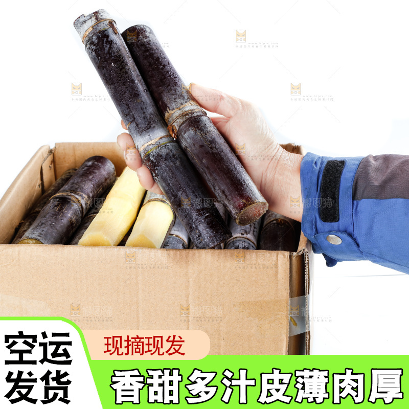 手上拿着甘蔗