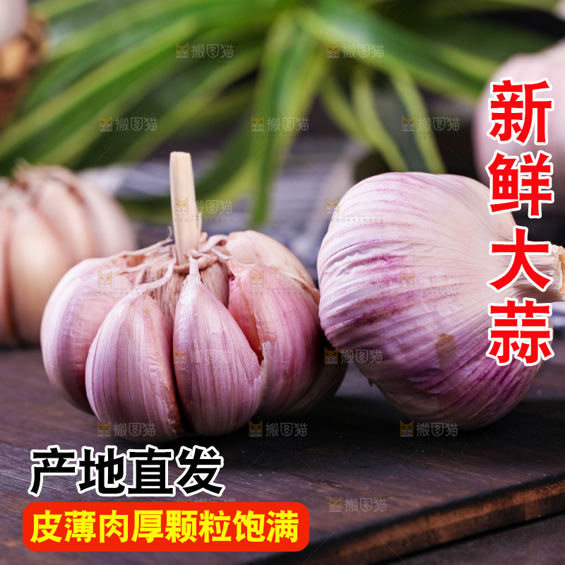 深底上的大蒜头