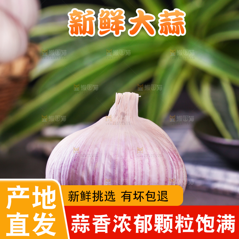 木板上的山东金乡大蒜