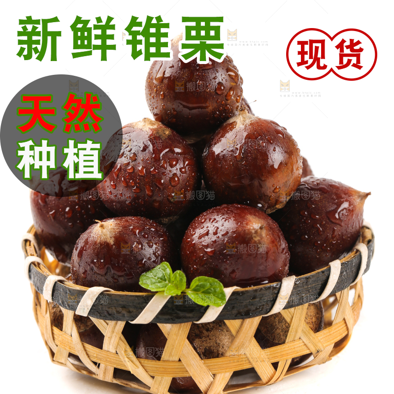 白底上篮子里的