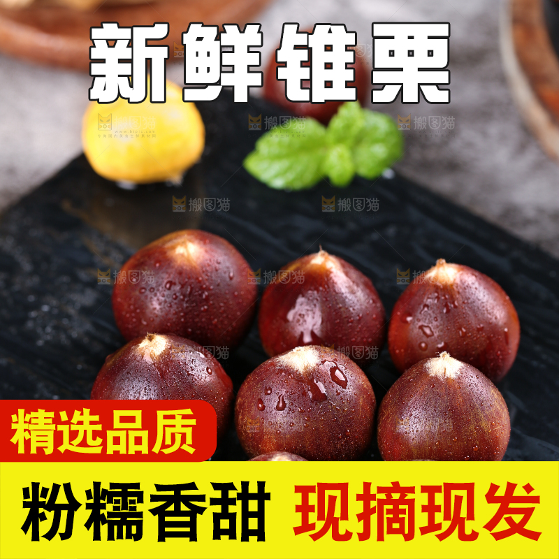 黑底上放着一堆鲜锥栗