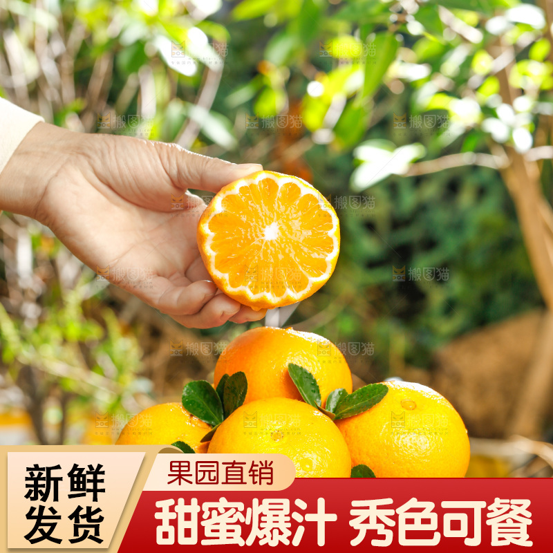 绿色草坪上一篮爱媛38号果冻橙