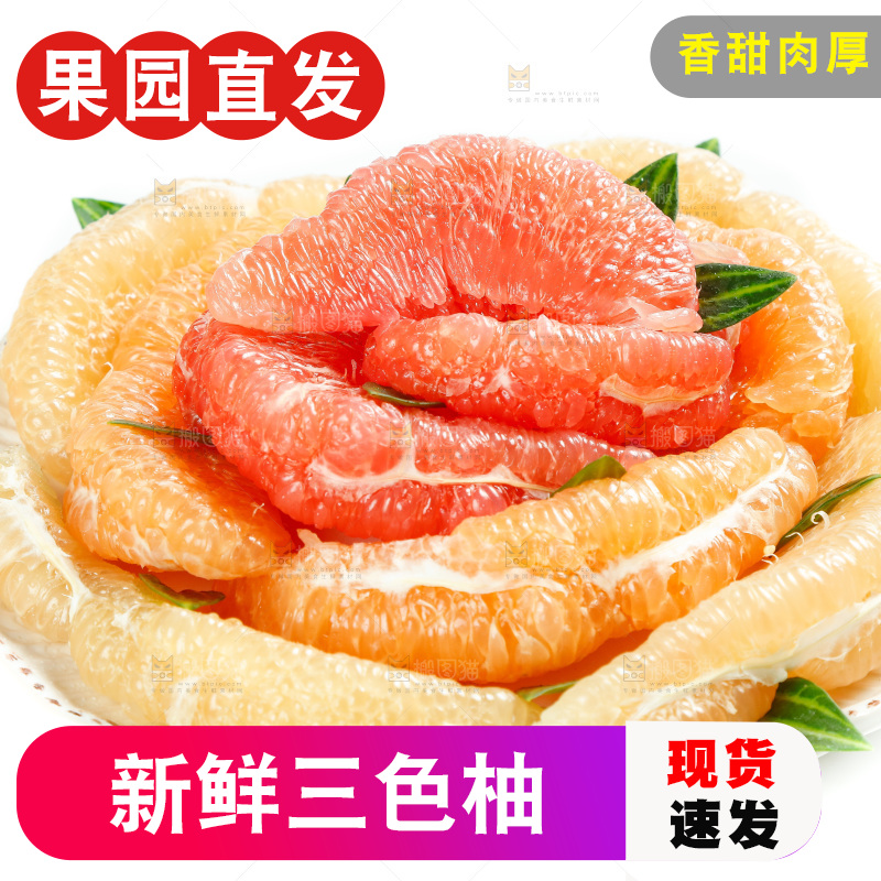 白底上一盘三种蜜柚果肉