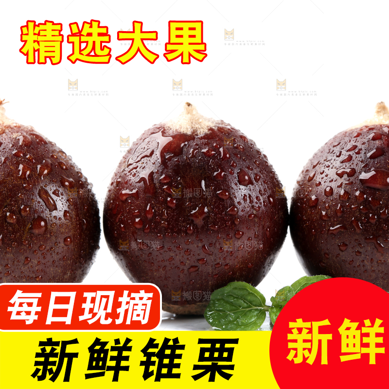 白底上放着新鲜锥栗
