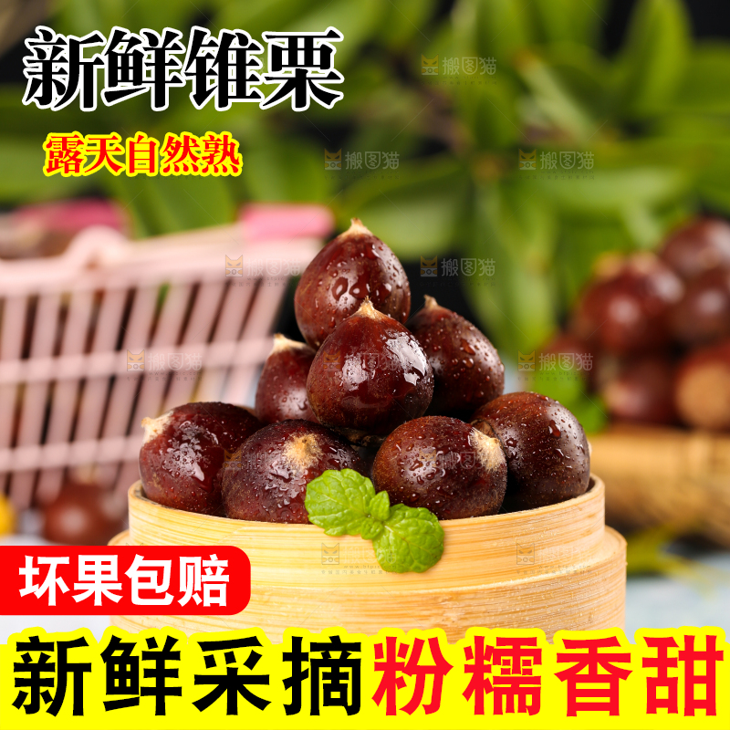 木板上放着一笼锥栗