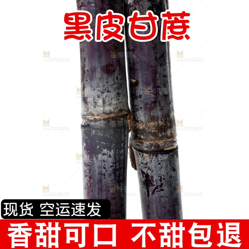 白底上的黑皮甘蔗