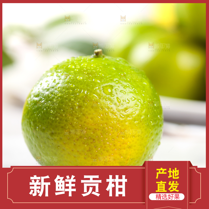 白底上的武鸣皇帝柑