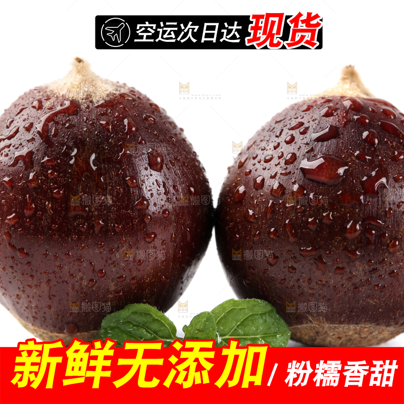 白底上放着新鲜锥栗