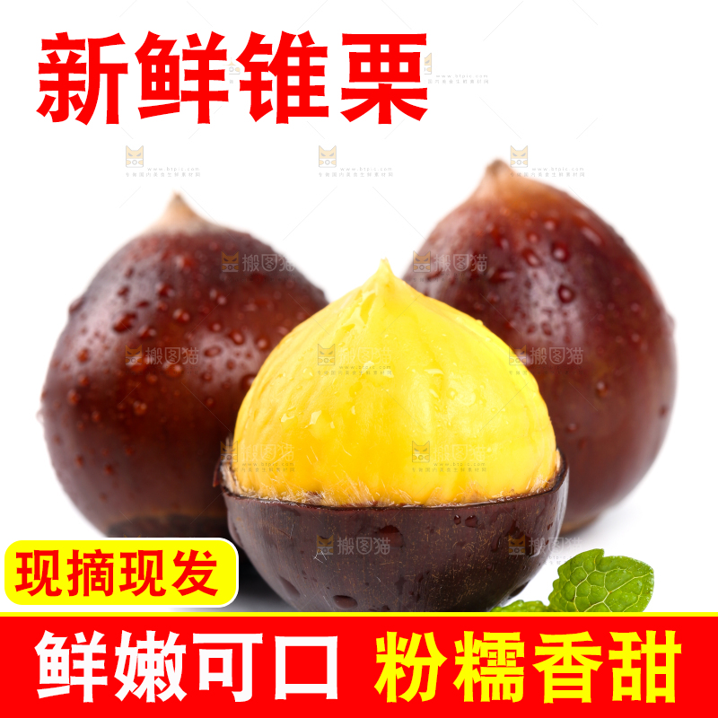 白底上放着高山锥栗