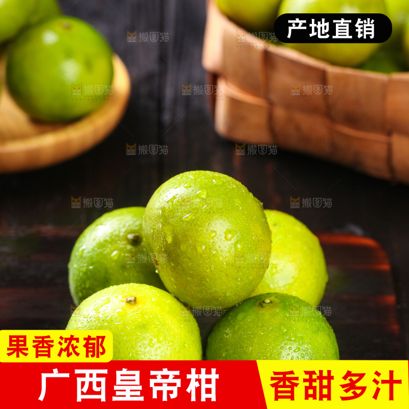 黑底上的广西皇帝柑