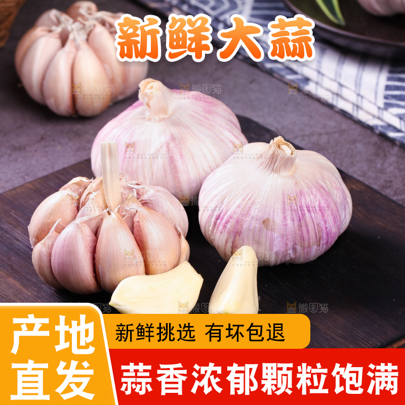深底上的大蒜头
