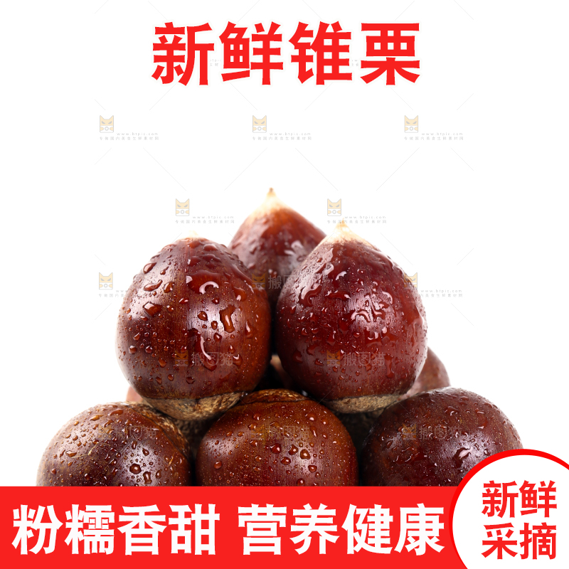 白底上放着一堆新鲜锥栗