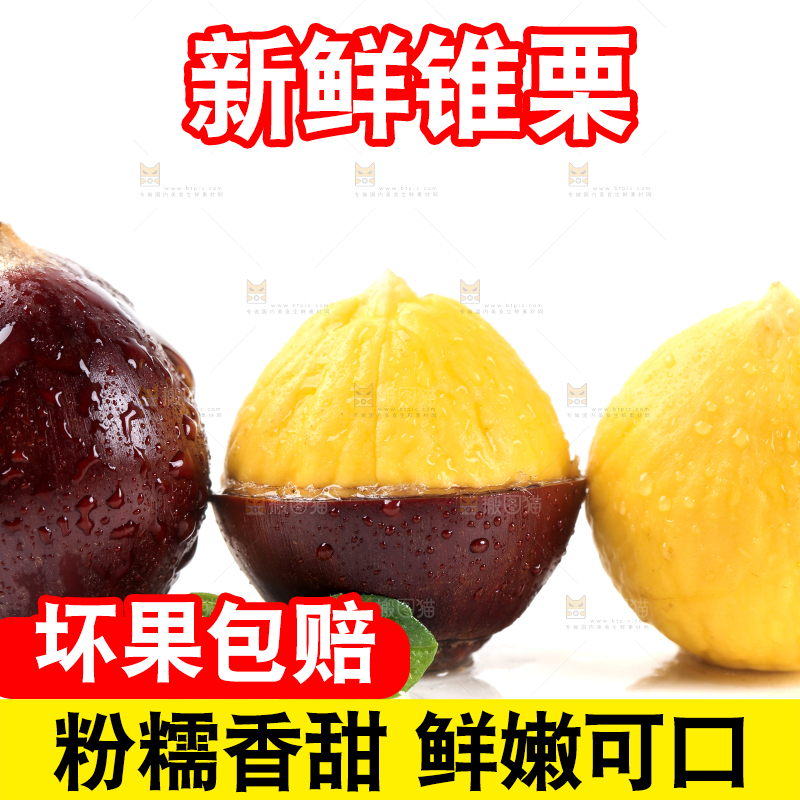 白底上的栗子和锥栗仁