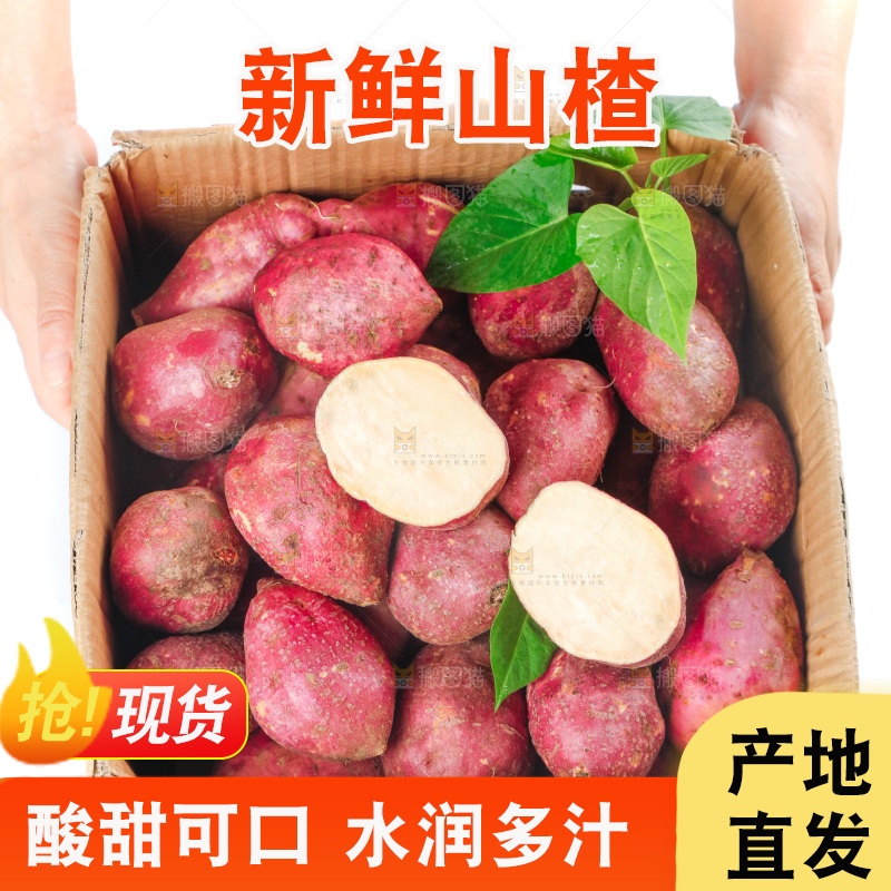 手上端着一箱白心红薯