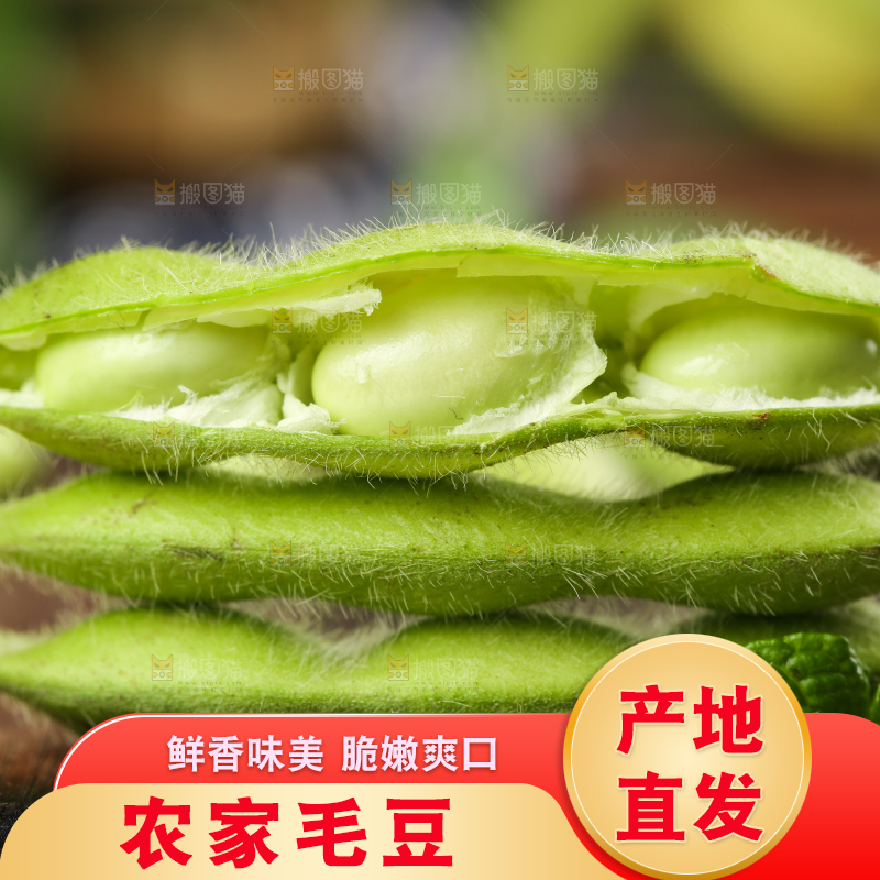 木底上放着云南新鲜毛豆