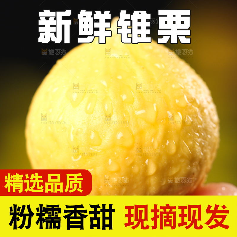 手上拿着锥栗