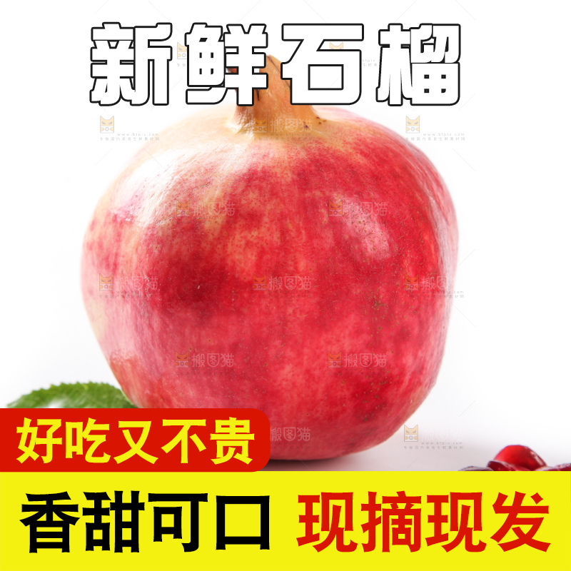 白底上的大石榴