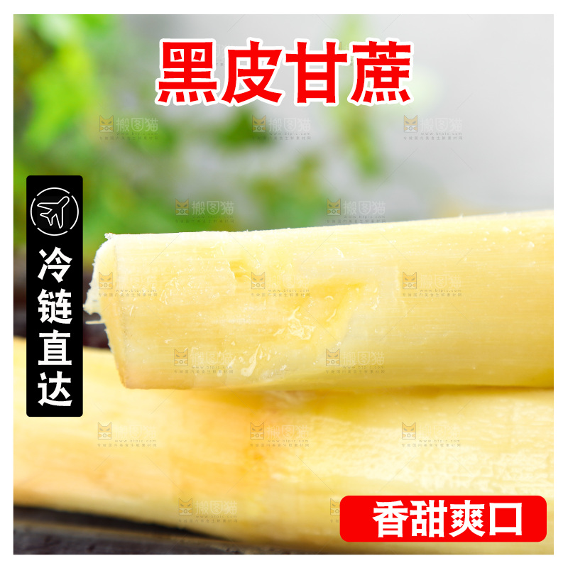 一堆新鲜的甘蔗