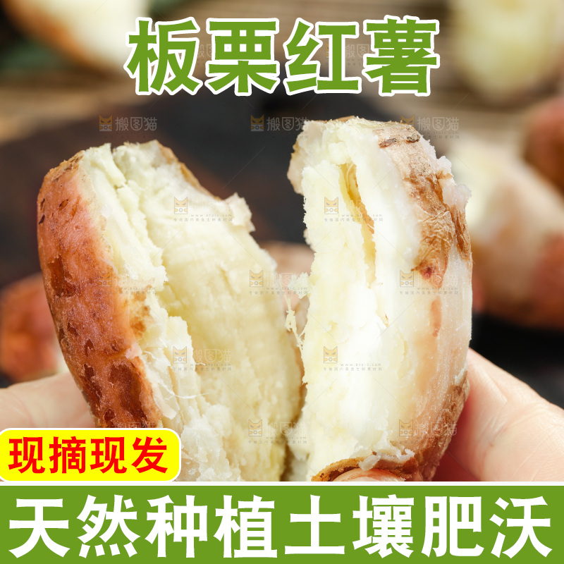 手上拿着白心板栗红薯