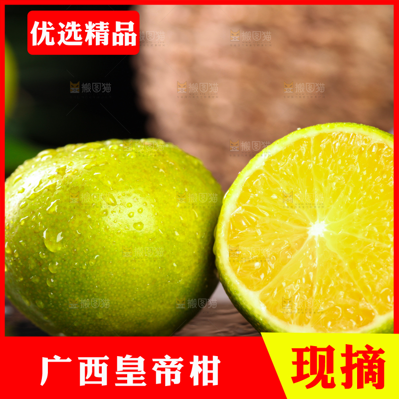 黑底上的皇帝柑
