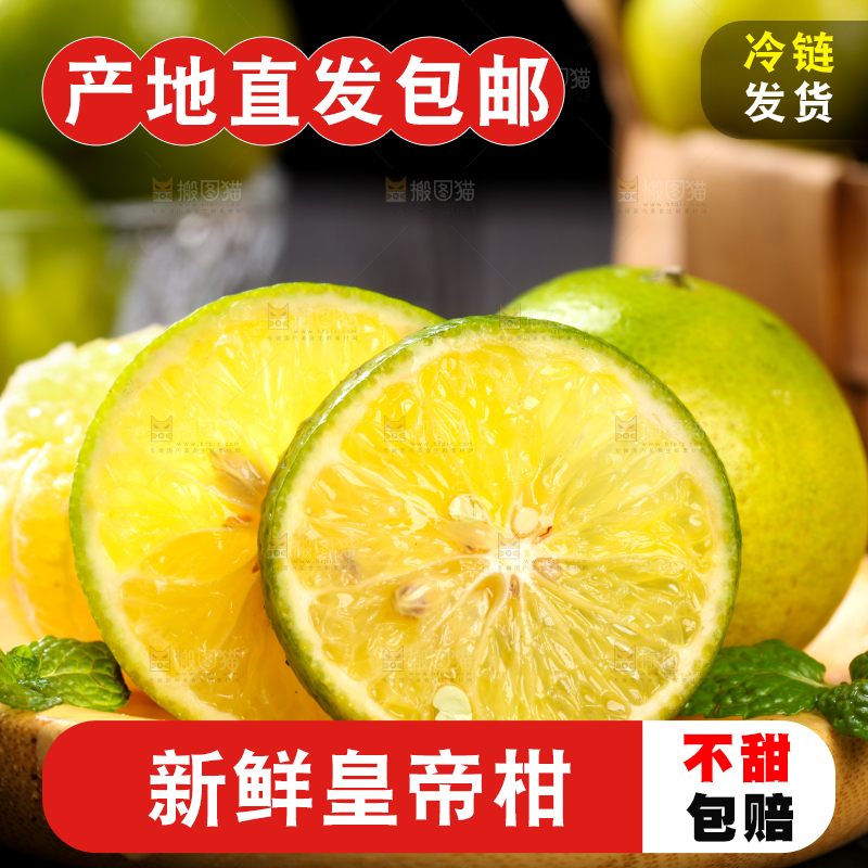 黑底上一盘德庆皇帝柑