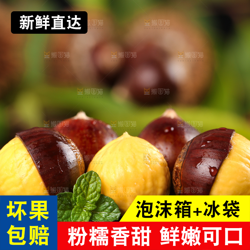 深底上的锥子栗