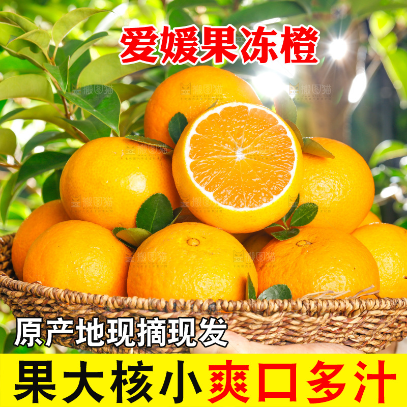手上端着一篮爱媛果冻橙