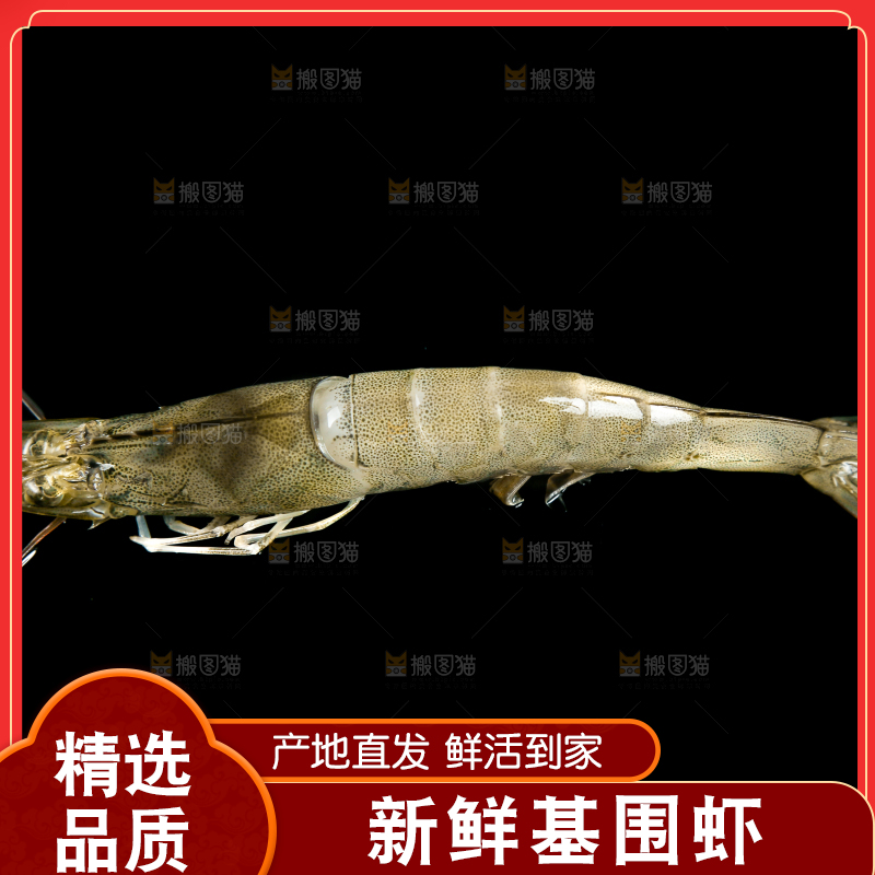 黑底上的青岛大虾