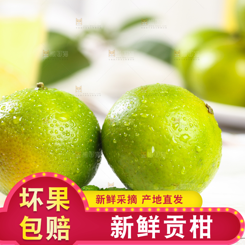 白底上的武鸣皇帝柑