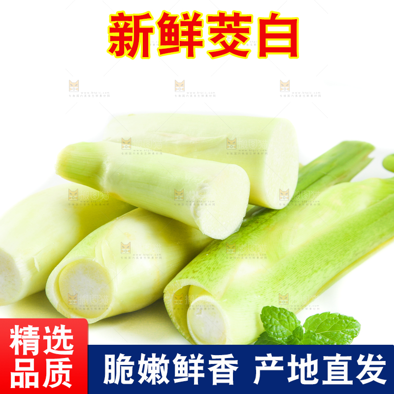 白底上一堆鲜嫩茭白
