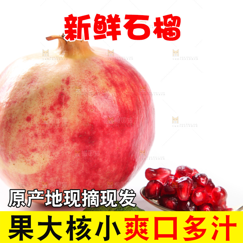 白底上的软籽石榴