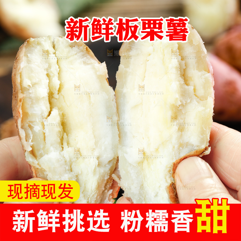手上拿着白心板栗红薯