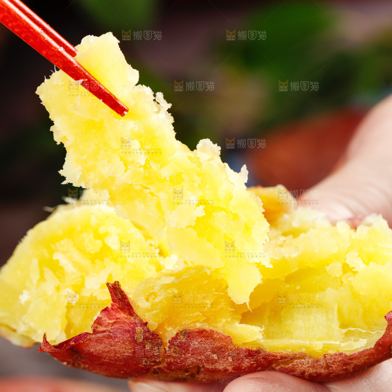筷子上夹着山东板栗蜜薯