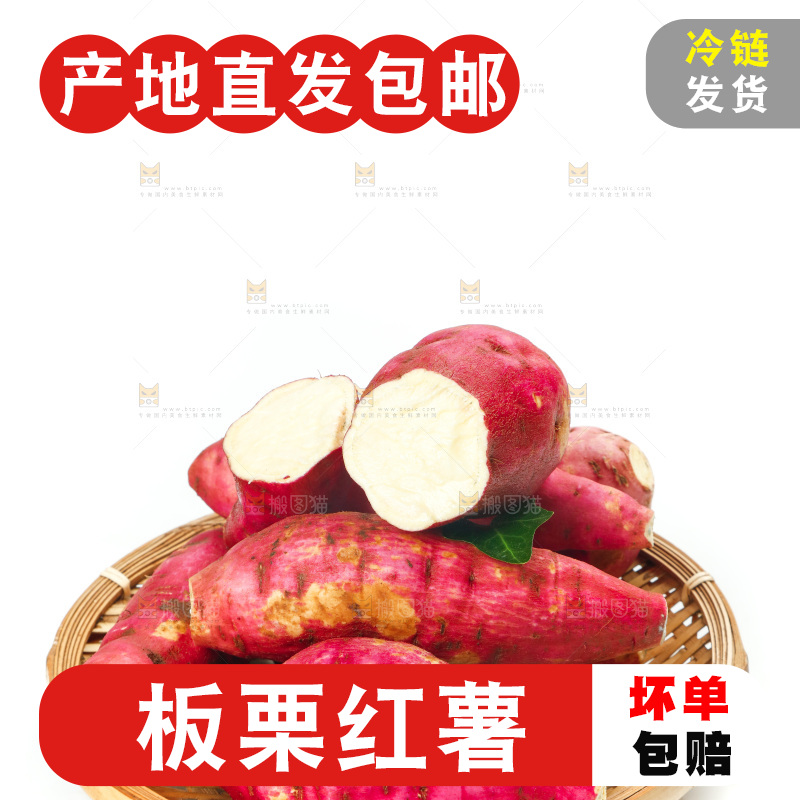 白底上一篮新鲜白心板栗薯