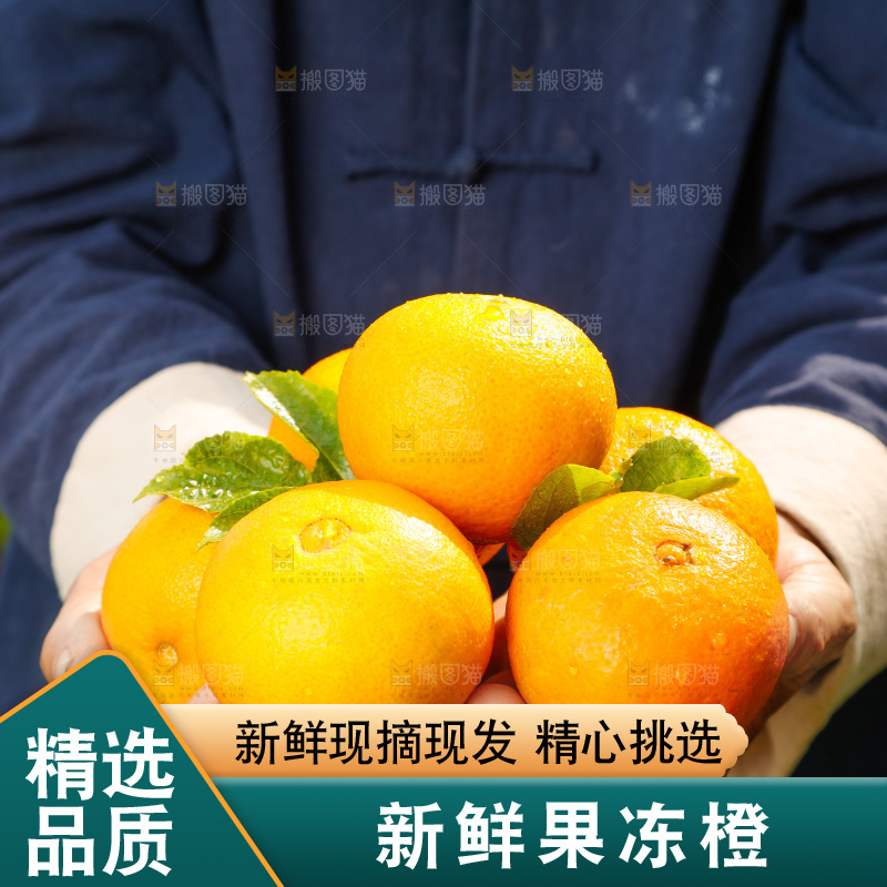 手上捧着爱媛
