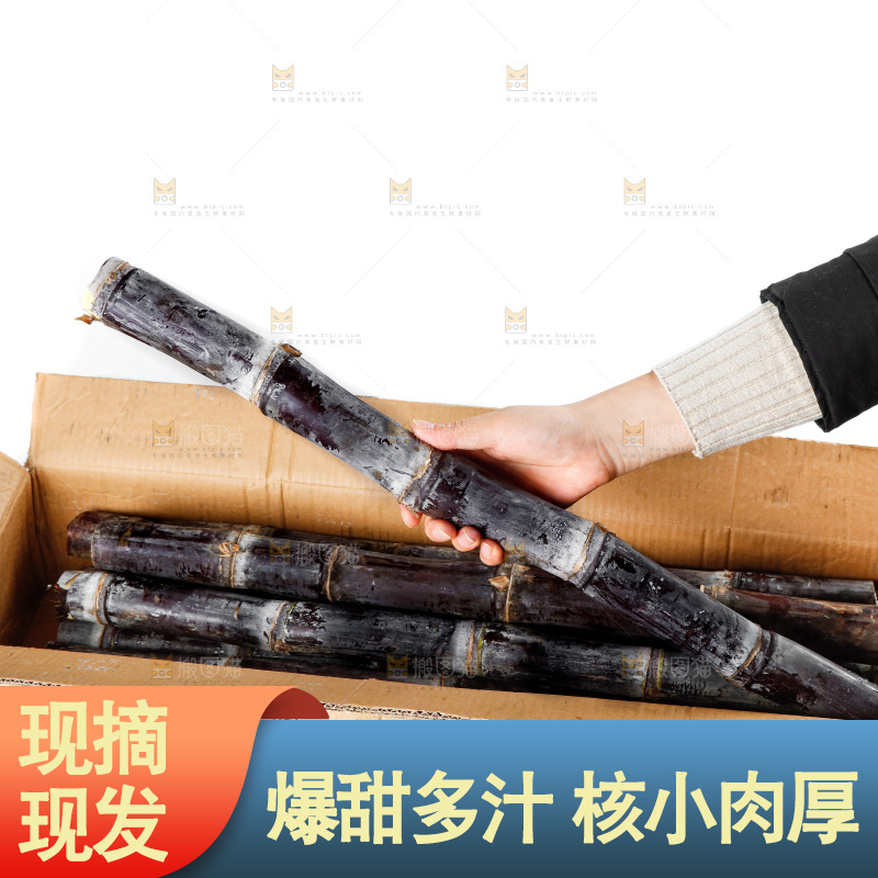 白底上一箱黑皮甘蔗和手上拿着甘蔗