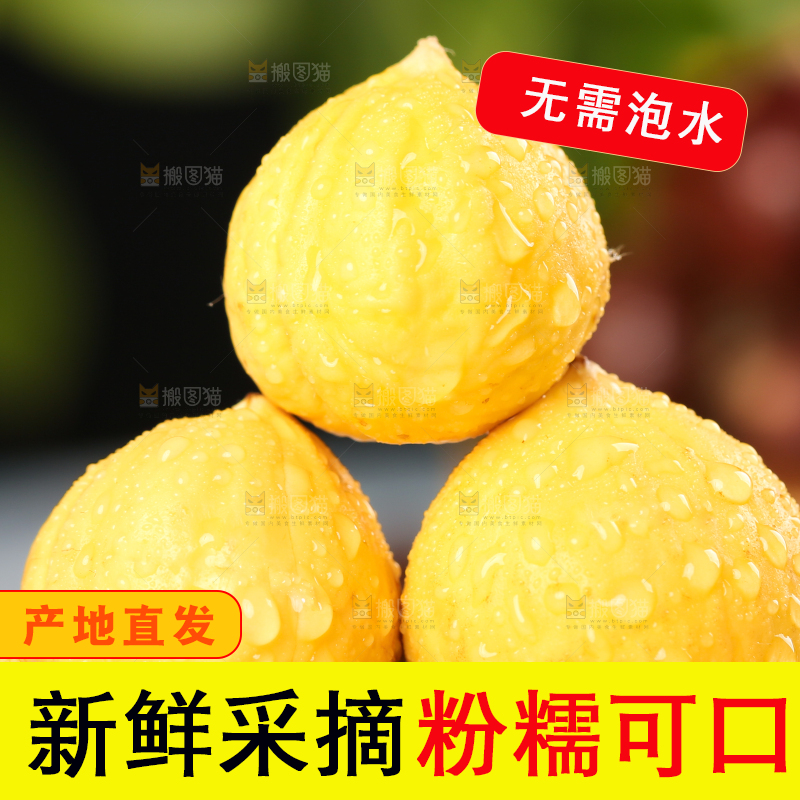 一堆新鲜的锥栗仁