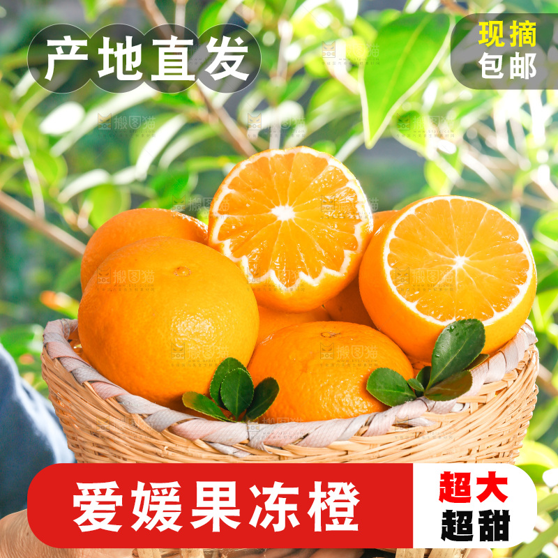 手上端着一篓新鲜采摘的果冻橙