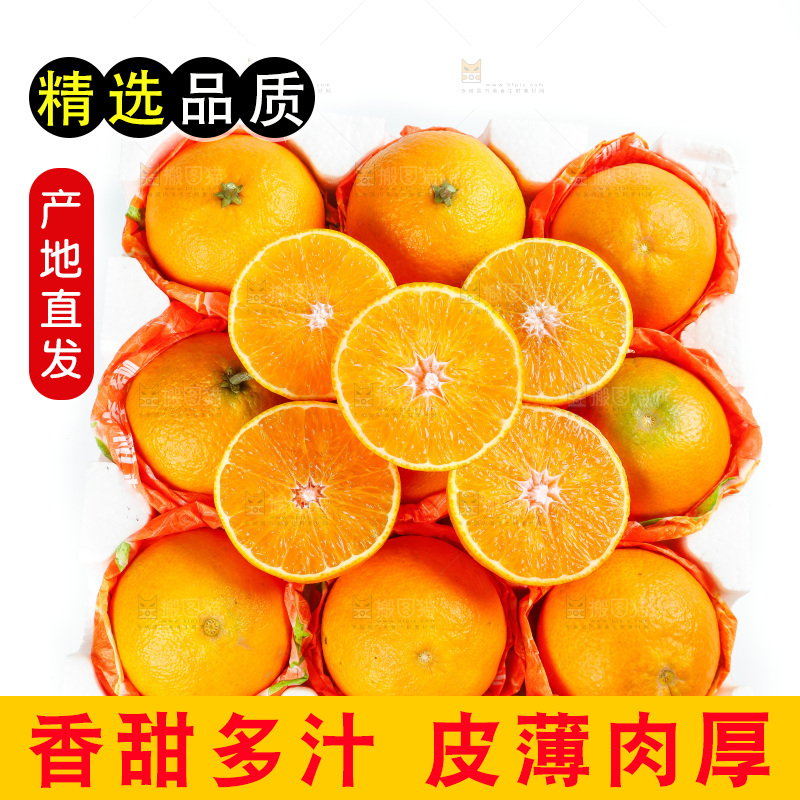 白底上放着一箱爱媛桔橙