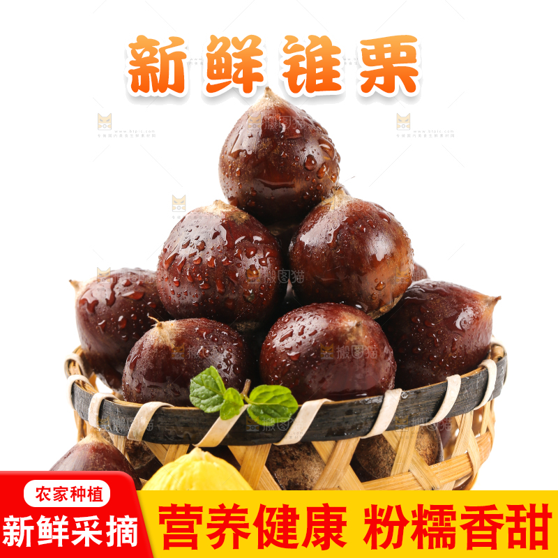 白底上篮子里的