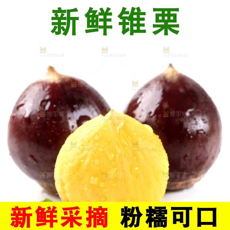 白底上的栗子和锥栗仁
