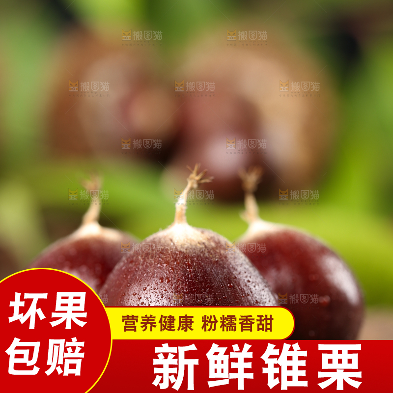 木底上放着栗子