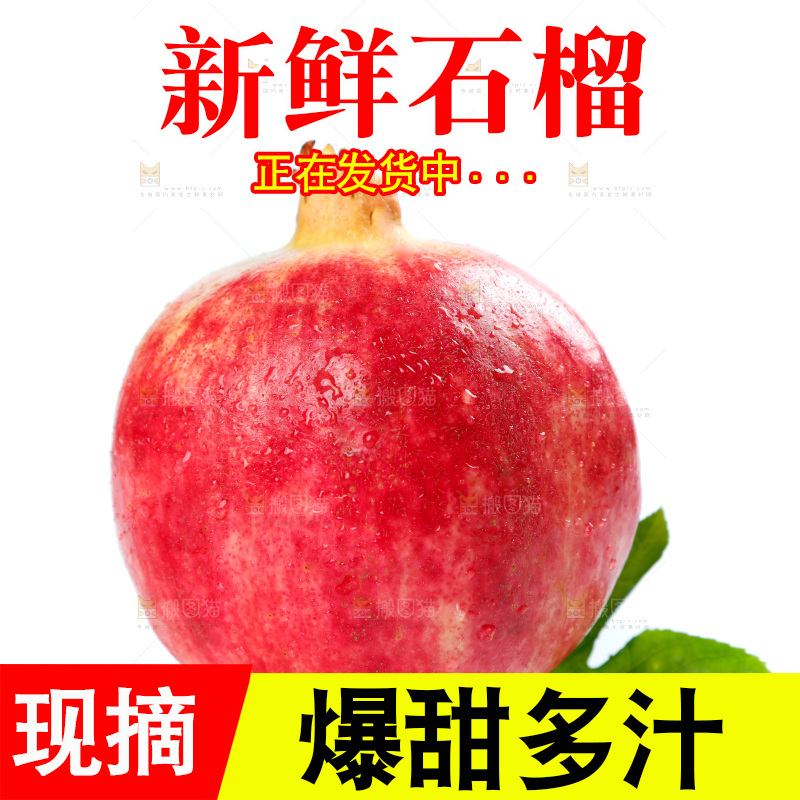 白底上的石榴