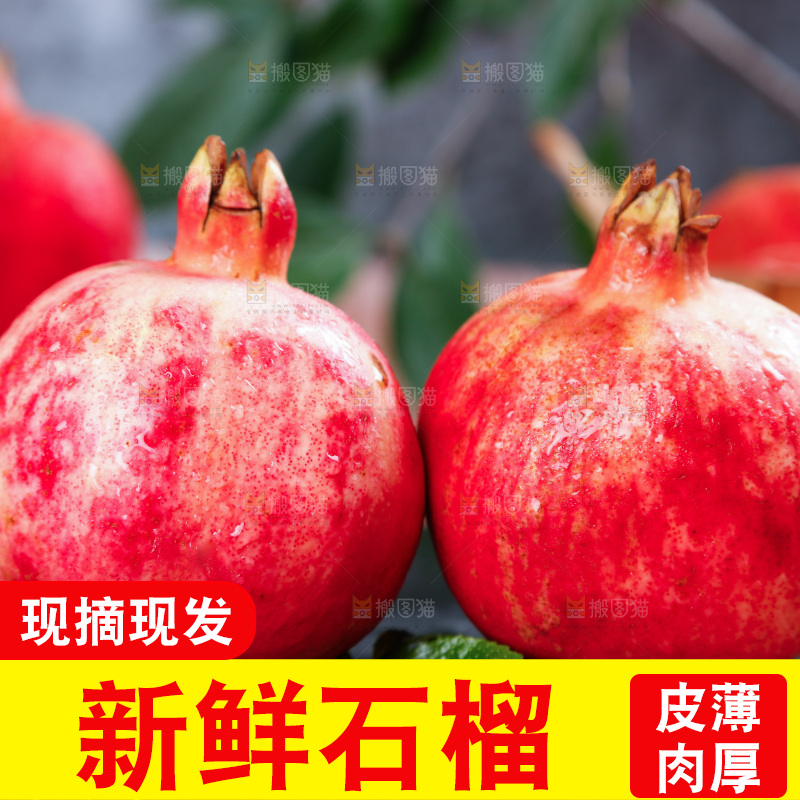 白底上放着软籽石榴