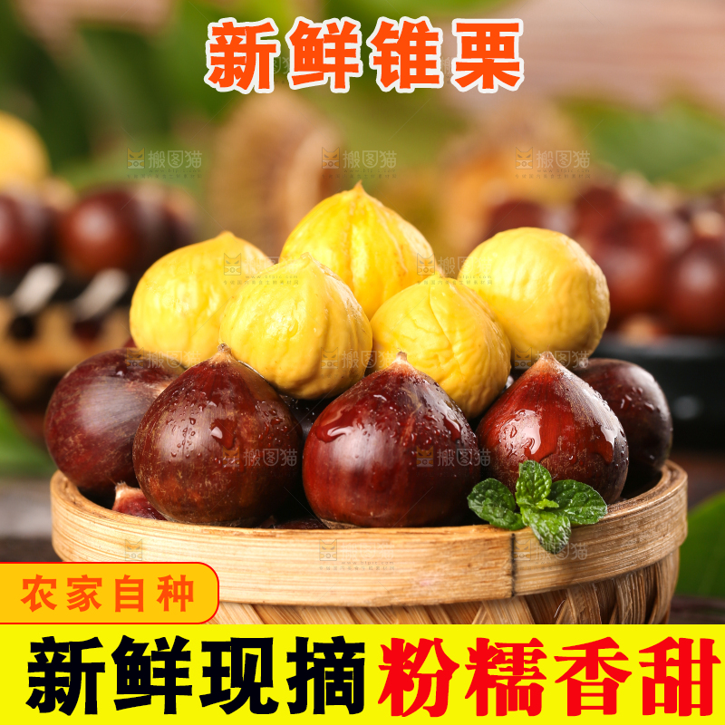 黑底上放着一篮建瓯锥栗
