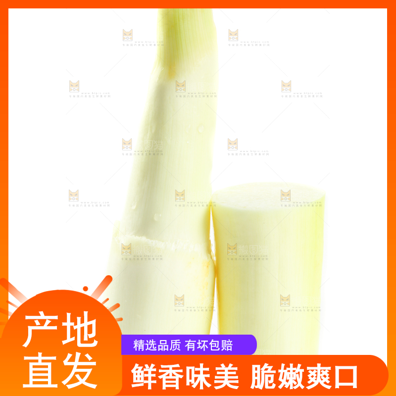 白底上放着茭白