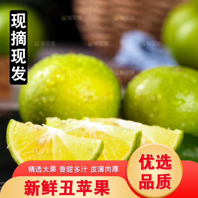黑底上的皇帝柑