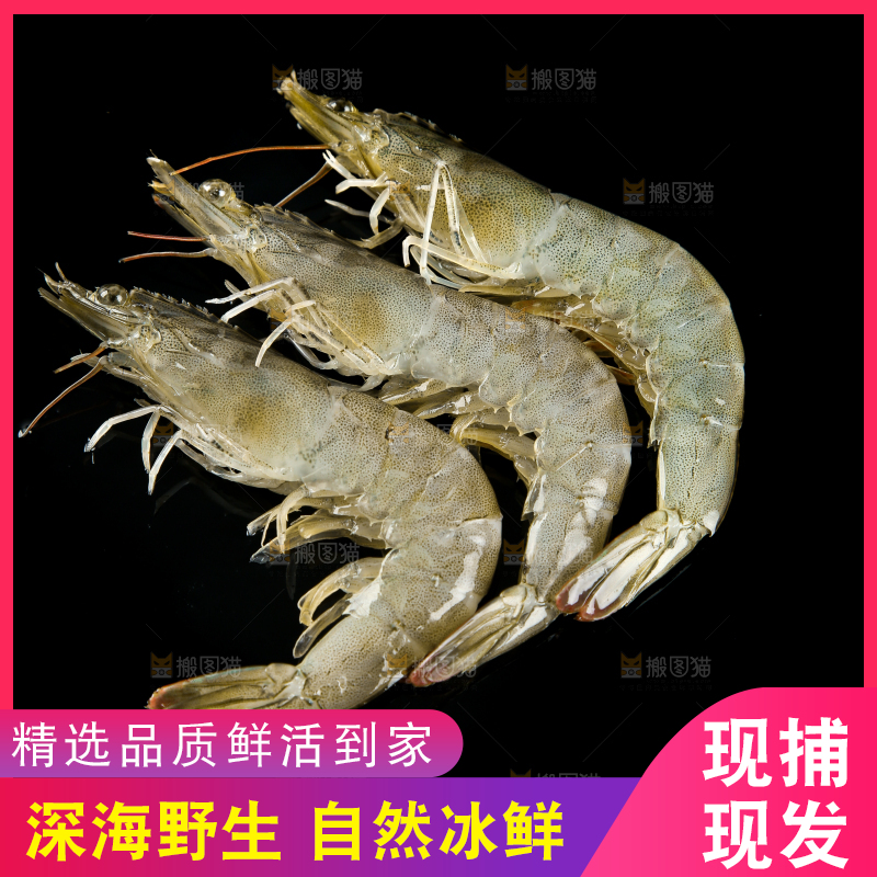 黑底上的青岛大虾