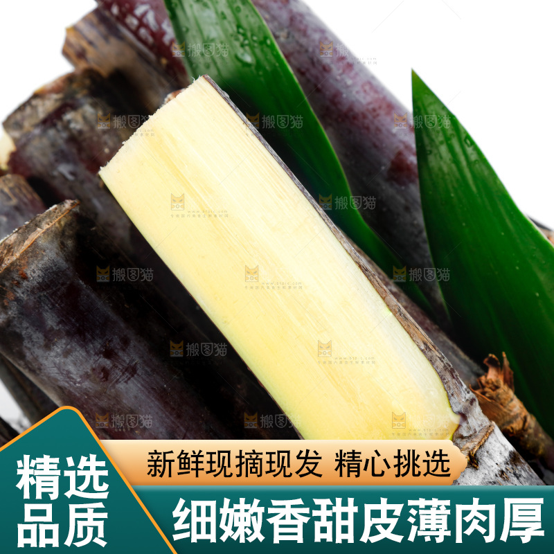 白底上篮子里的甘蔗