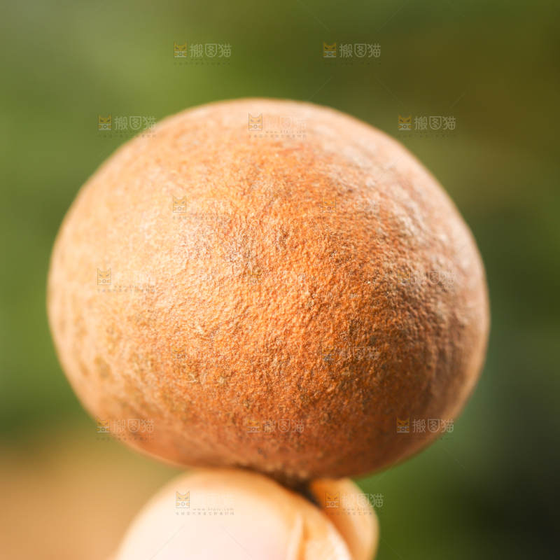 手上拿着干桂圆